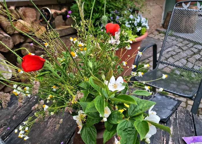 Pansiyon Gaestezimmer Bambus Gemeinschaftsbad Frei Wlan